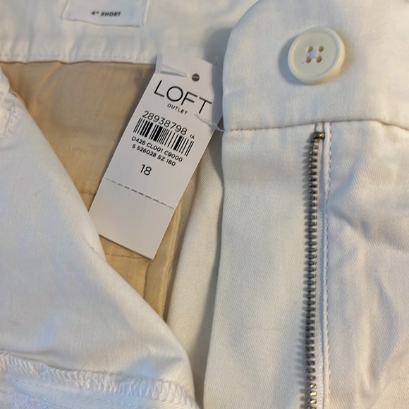 Loft white cotton shorts.Plus size - Picture 2 of 8